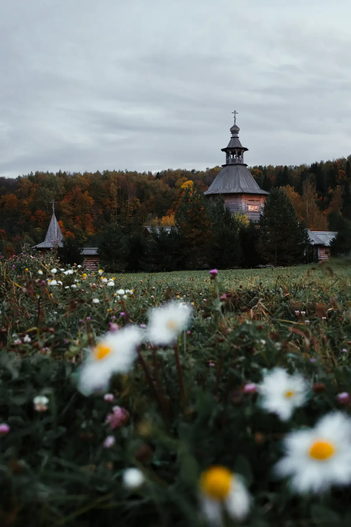 A field of flowers with a church in the background